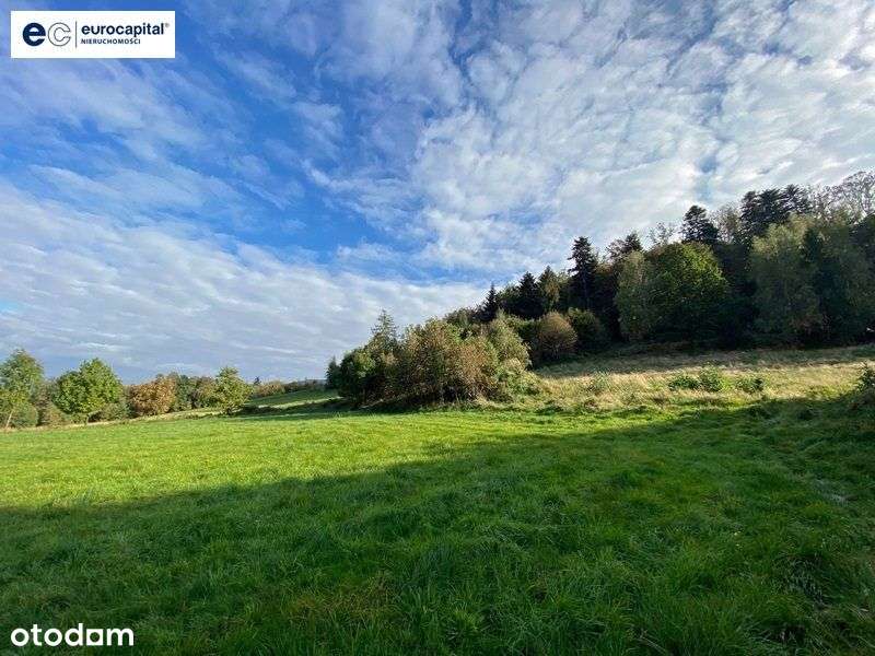 Widokowa działka pod lasem w Jaworzu! - Pełny obrazek: 4/16