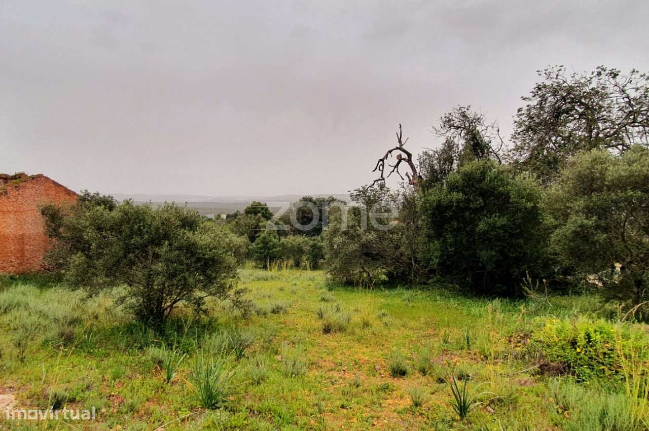 Terreno com viabilidade de Construção em Messines - Grande imagem: 3/18