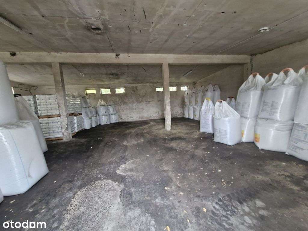 Nojewo, 10 km od Pniew, 1191 m2-3