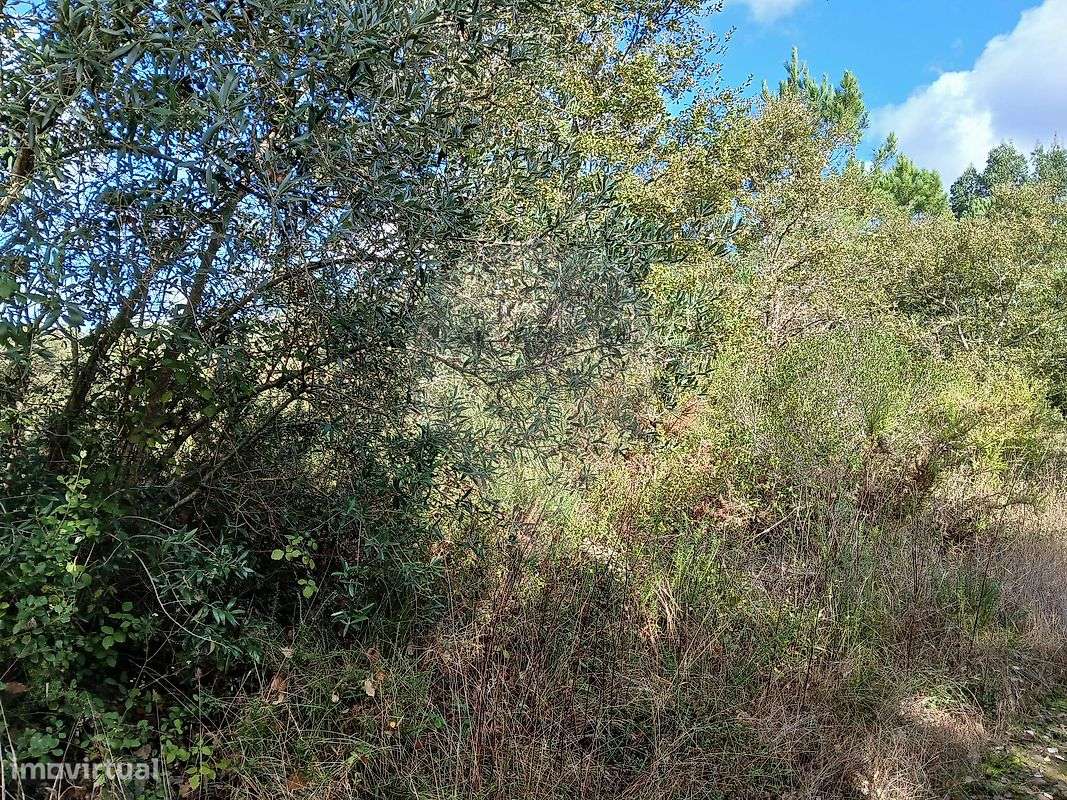 Terreno  para venda - Grande imagem: 2/8