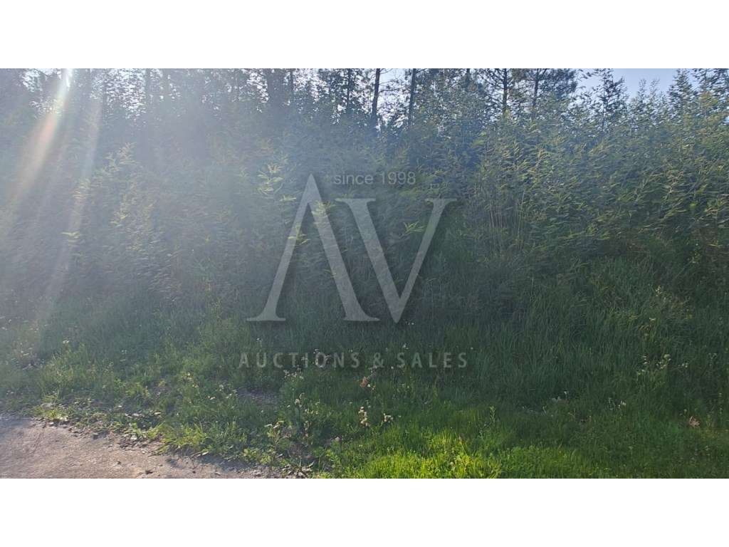 Terreno para construção - MANGUALDE - |LEILÃO ELETRÓNICO| FIM 30*ABR - Grande imagem: 4/11