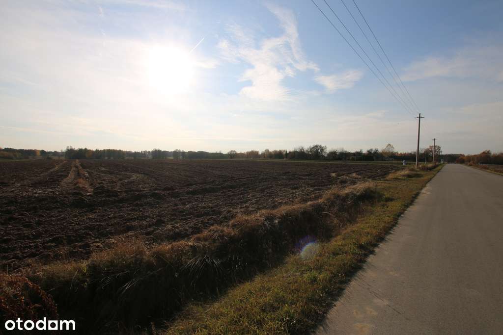 Działka rolno budowlana 65ar Sobolew Kol g. Firlej - Pełny obrazek: 4/15