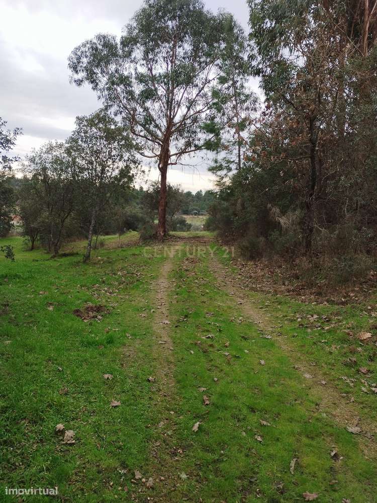 Terreno rustico com casa de Pedra-7