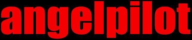 ANGEL PILOT HONDA logo