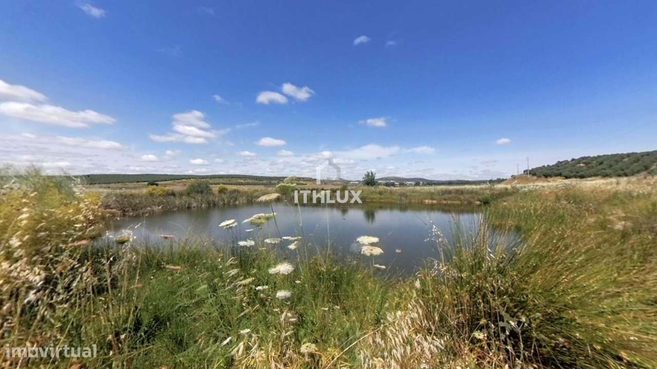 Propriedade com 23 hectares no PERÍMETRO DE REGADIO DO CAIA – Elvas – - Grande imagem: 4/22