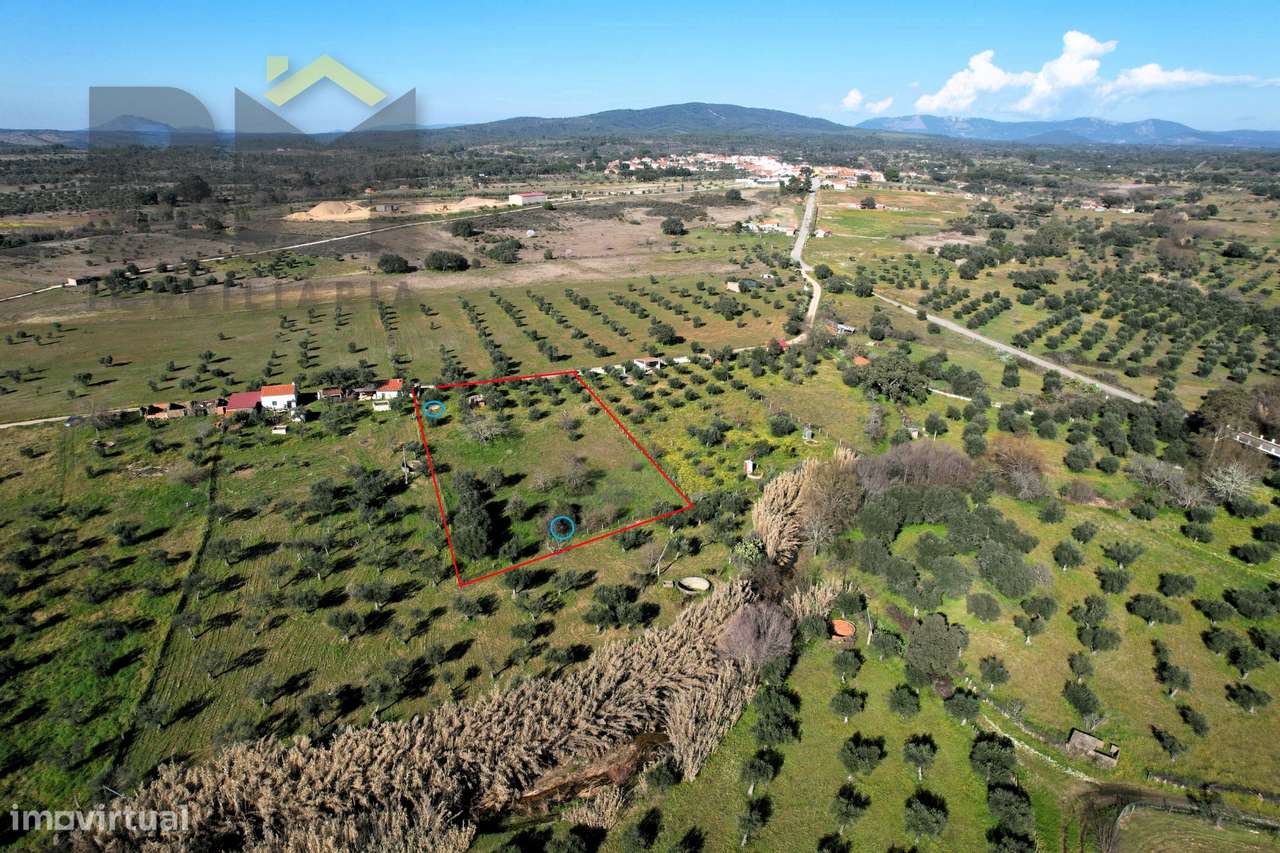 Terreno Rústico  Venda em Toulões,Idanha-a-Nova - Grande imagem: 4/28