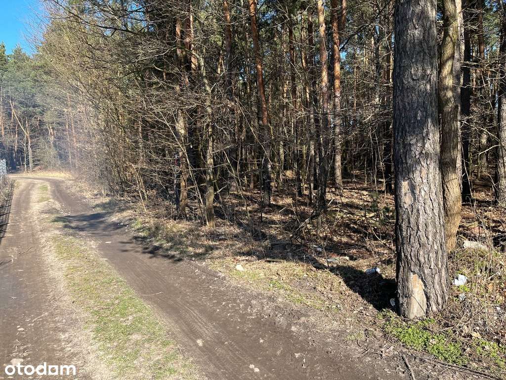 Działka inwestycyjna z budynkiem, droga 633!-8