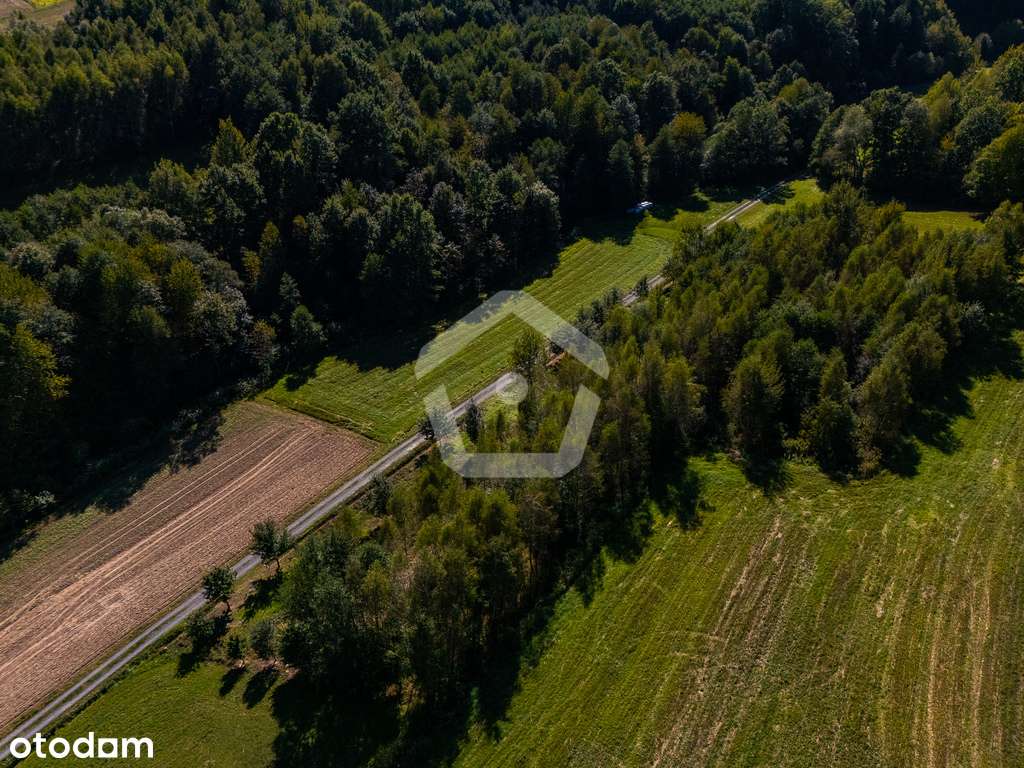 Działka przy lesie z WZ - 34 ar + 16 ar (las) - Pełny obrazek: 4/8