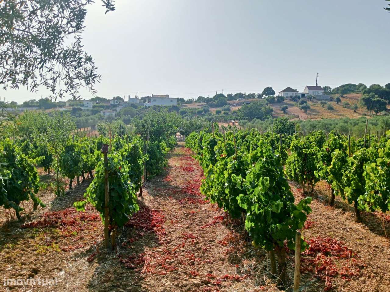 Terreno Rústico com 6.240 m² - Grande imagem: 4/13