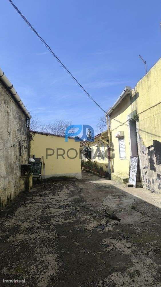 Moradias inseridas em lote urbano de 636 m² | Boavista, Porto-5