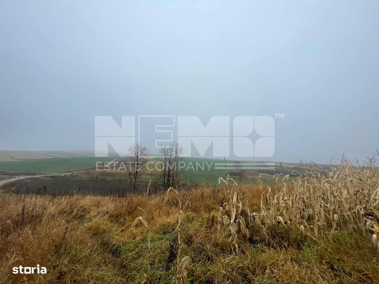 TEREN EXTRAVILAN | DOUA PARCELE 2.84 HA| IDEAL AGRICOL | DARMANESTI - Imagine principală: 4/20