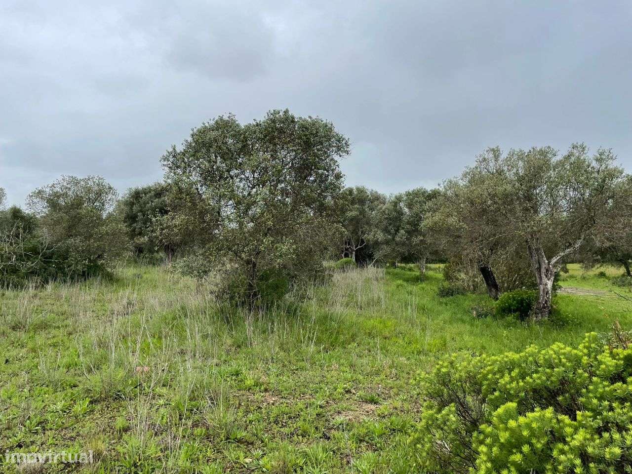 Terreno Rustico em torre Apra- Loule-5