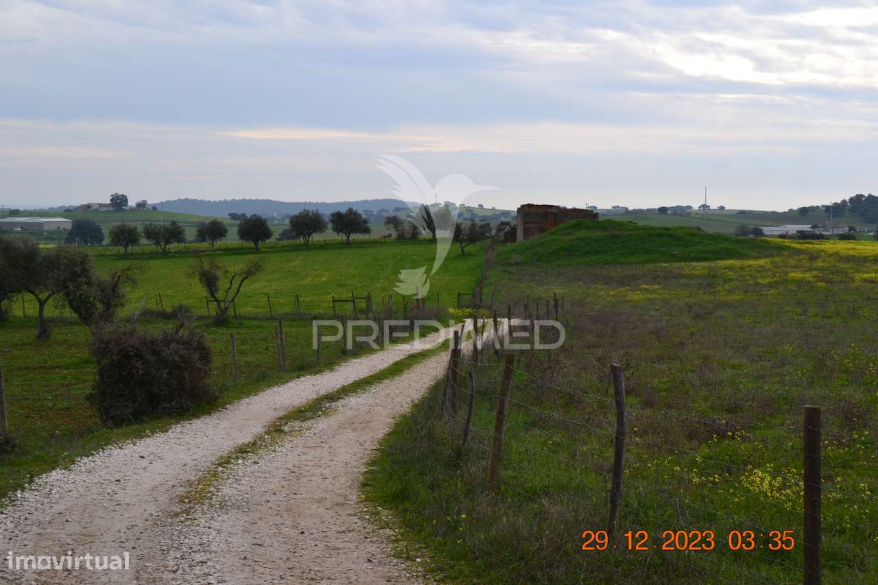 Terreno Rustico - Grande imagem: 4/20