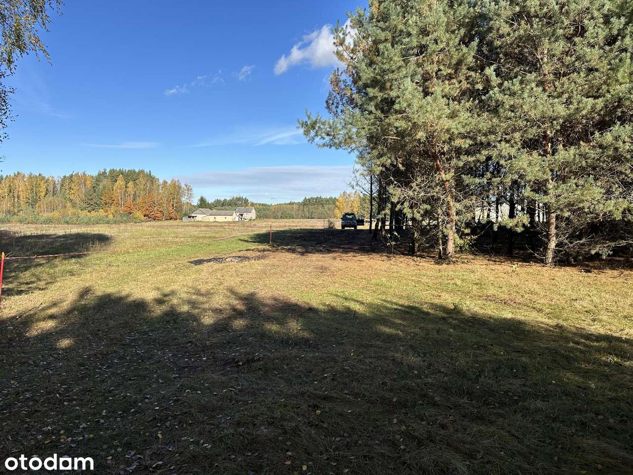 Cicha spokojna okolica Las Czyste powietrze-6