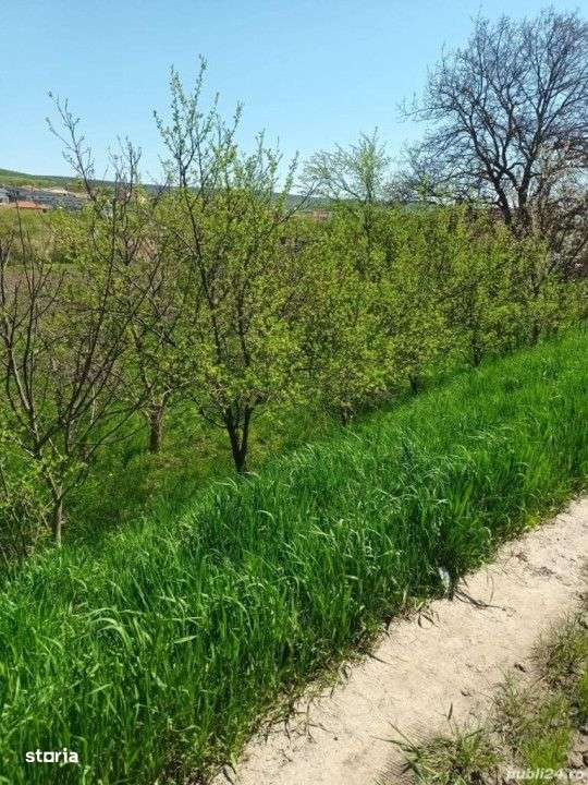 Teren de 940mp, colinar, zona Chinteni - Imagine principală: 1/4