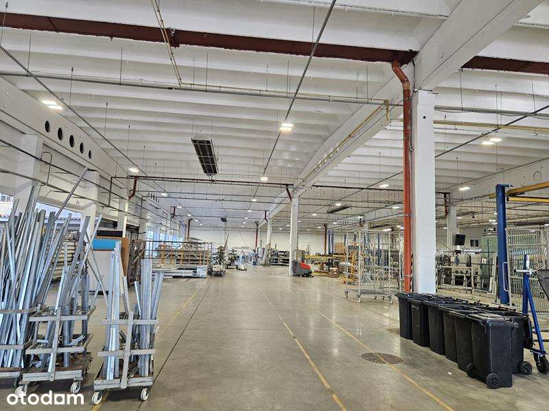 Produkcja od zaraz? To tu!-7