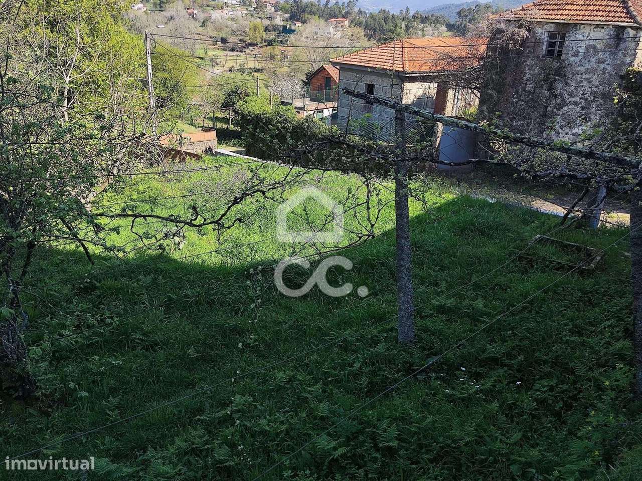 Quinta, Termas de São Vicente, Penafiel-14