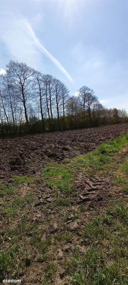 Działka Budowlana w Aleksandrowie Łódzkim