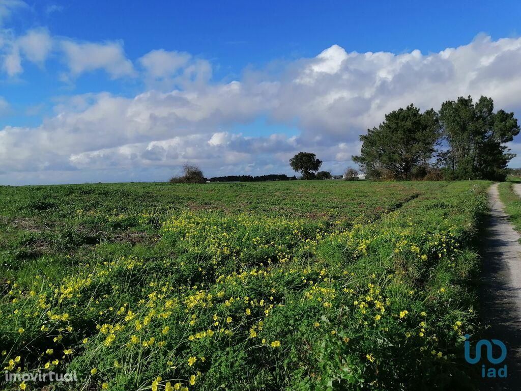 Terreno em Setúbal de 42500,00 m2