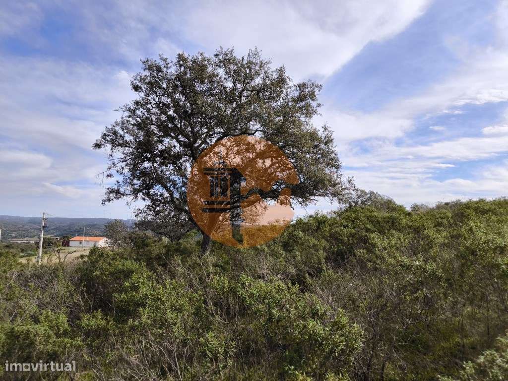 TERRENO COM 55.480 M² - COM POSSIBILIDADE DE CONSTRUÇÃO - HABITAÇÃO... - Grande imagem: 3/22