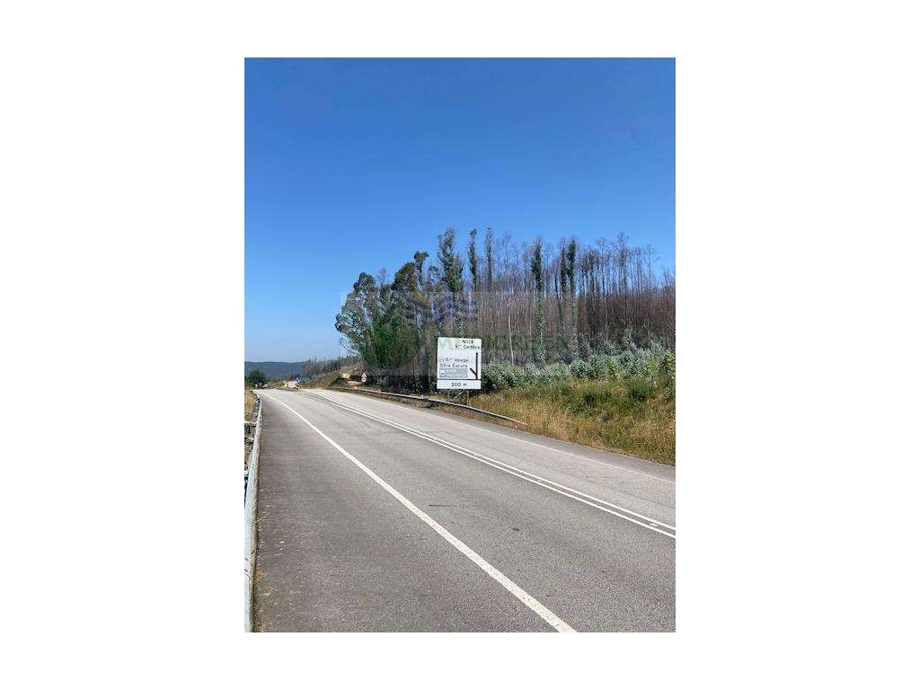 TERRNO NA ZI DE SEVER DO VOUGA - Grande imagem: 4/5