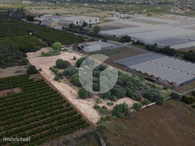 Terreno com ruína - Moncarapacho e Fuzeta - Grande imagem: 5/10