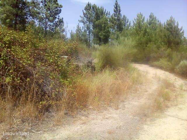 Terreno Rústico, Salgueiro do Campo - Grande imagem: 2/7