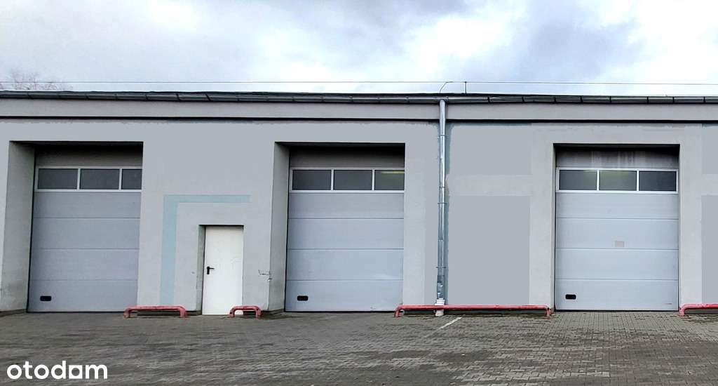 Teofilów, Hala 1382 m2 z biurem BOK, 3 bramy - Pełny obrazek: 5/9