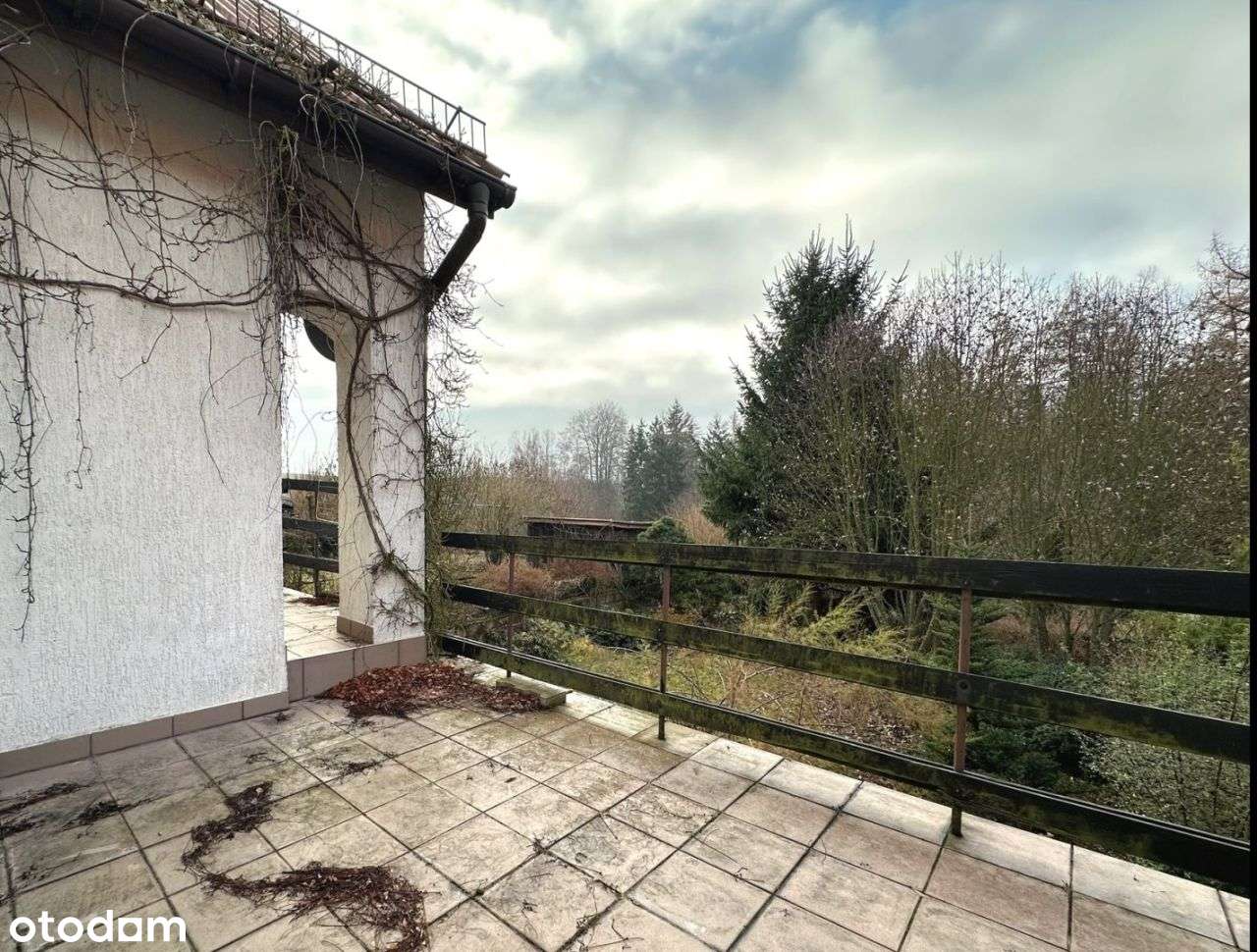 Dom w zielonej okolicy blisko stoku narciarskiego-12