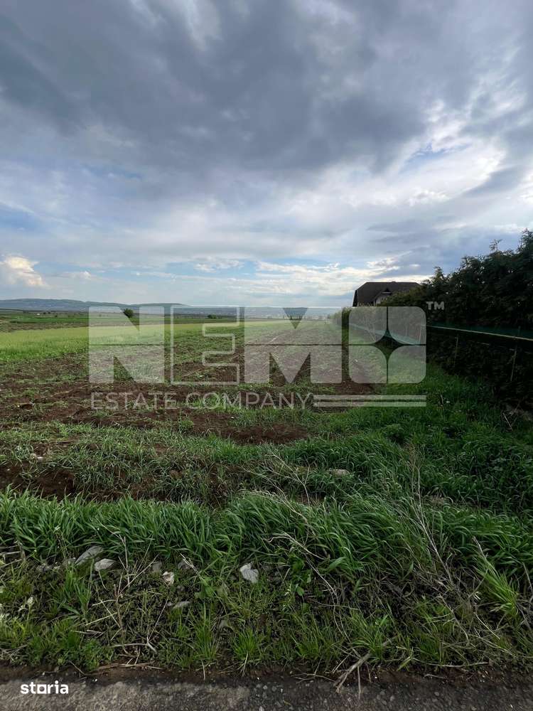 Teren, 2 000 m²,  - Imagine principală: 3/3