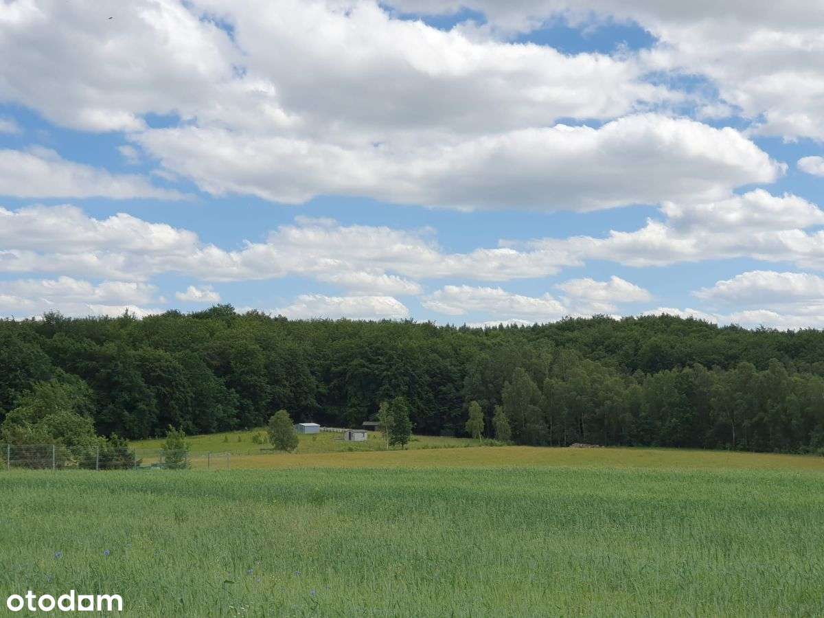 Piękna działka z "oczkiem", w sąsiedztwie zabudowa - Pełny obrazek: 5/18