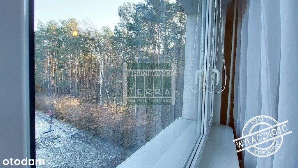 Klimatyczne mieszkanie przy lesie-5