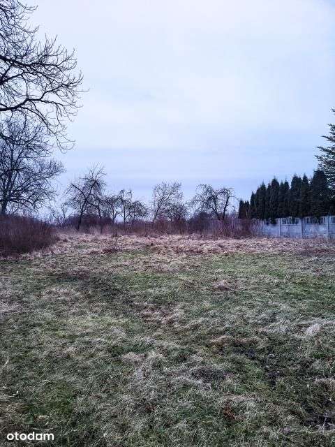 Dom Z Dużą Działką do remontu-2