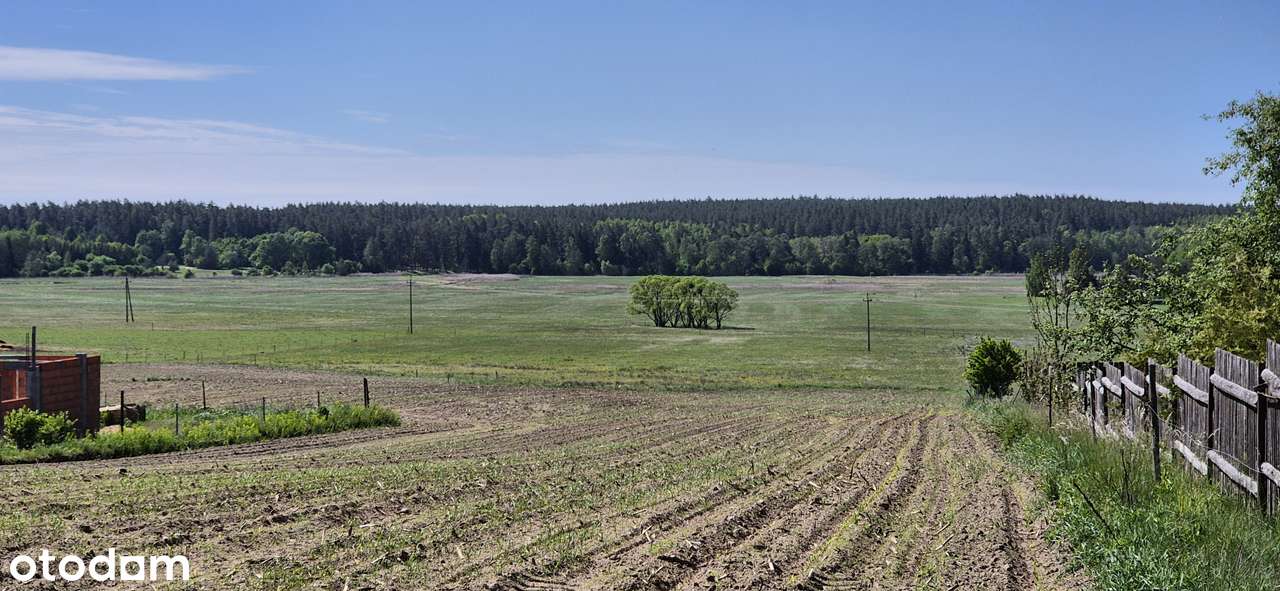 Działka na wzgórzu w Studziankach - Pełny obrazek: 5/7