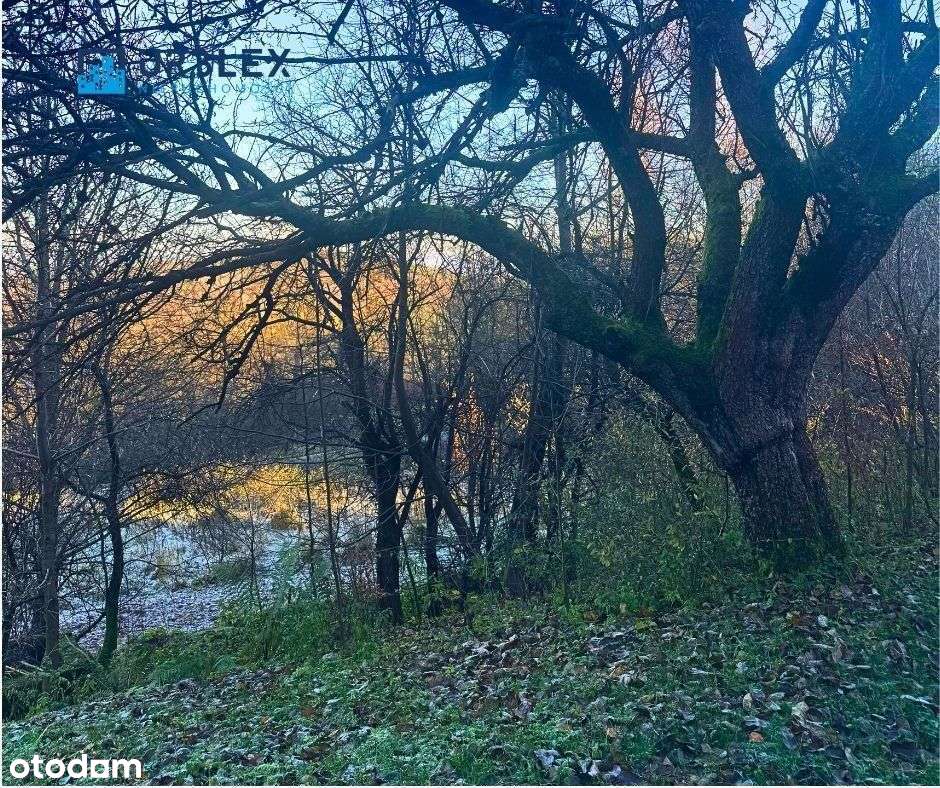 DOMEK LETNISKOWY + WŁASNY LAS-10