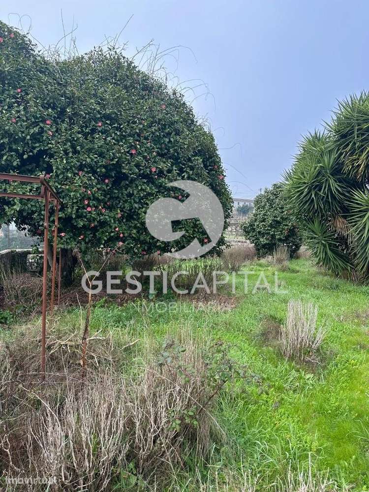 Casa de Quintã – Solar brasonado histórico com vinha em Marco de Canav - Grande imagem: 5/19