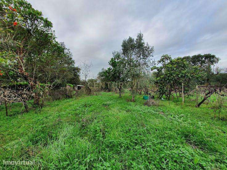 Terreno Rústico em Carapuça - Gonçalo, Guarda com Vista Panorâmica-6
