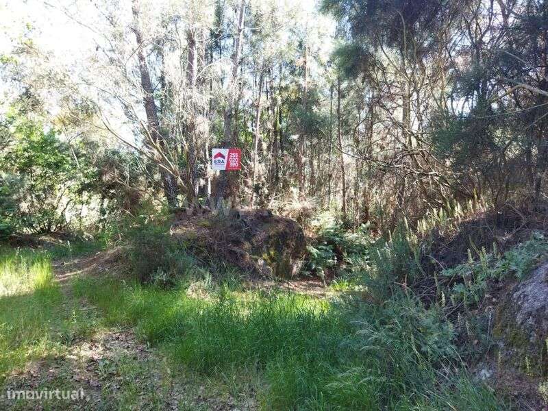 Terreno / Baião, Campelo e Ovil - Grande imagem: 5/7