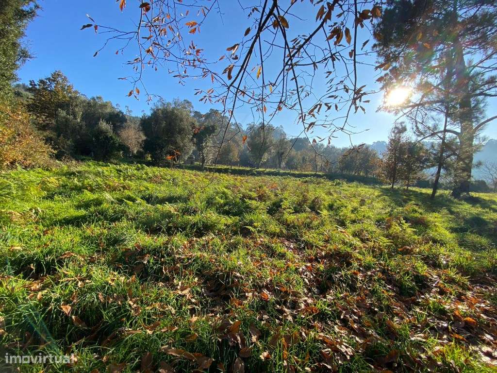 Propriedade composta por duas casas para restauro. - Grande imagem: 5/17