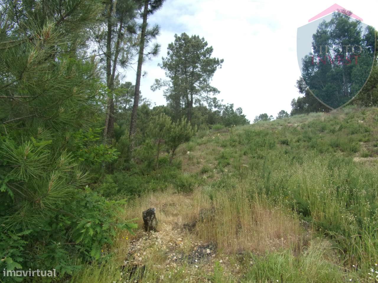 Terreno Misto  Venda em Orgens,Viseu - Grande imagem: 4/10