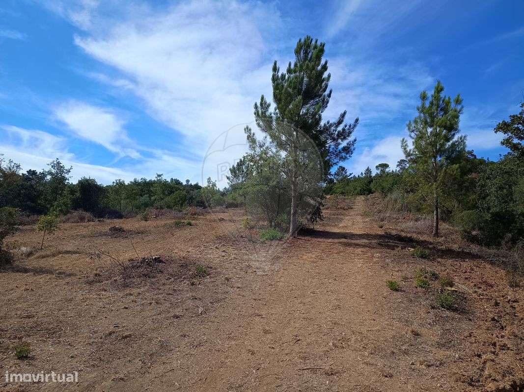 Terreno  para venda - Grande imagem: 4/12