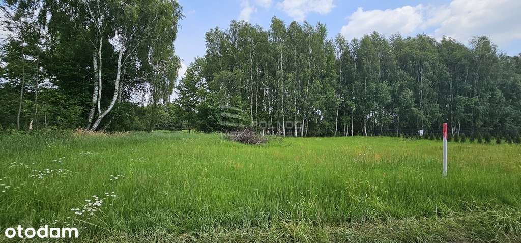 Działki w sercu pojezierza na sprzedaż - Pełny obrazek: 4/7