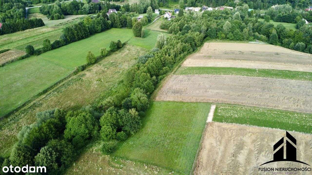 Urokliwa działka z potencjałem | 7842 m² | Łubno,-12