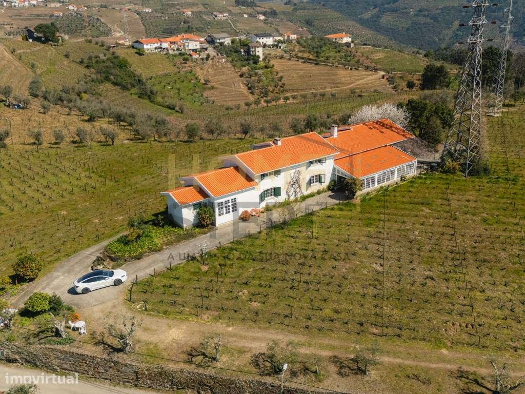 Quinta T4 com Vinhas e Oliveiras, em Santa Marta de Penaguião - Douro-6