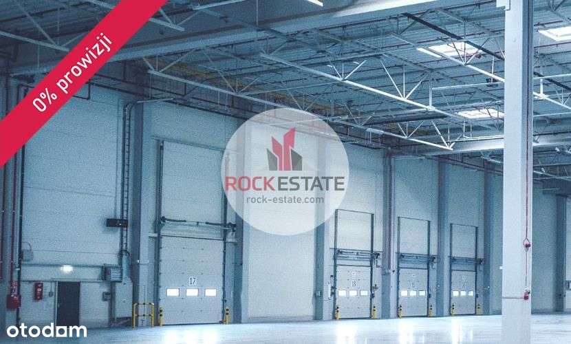 Magazyn 3780 m2 z biurem od zaraz - 0% prowizji - Pełny obrazek: 4/6