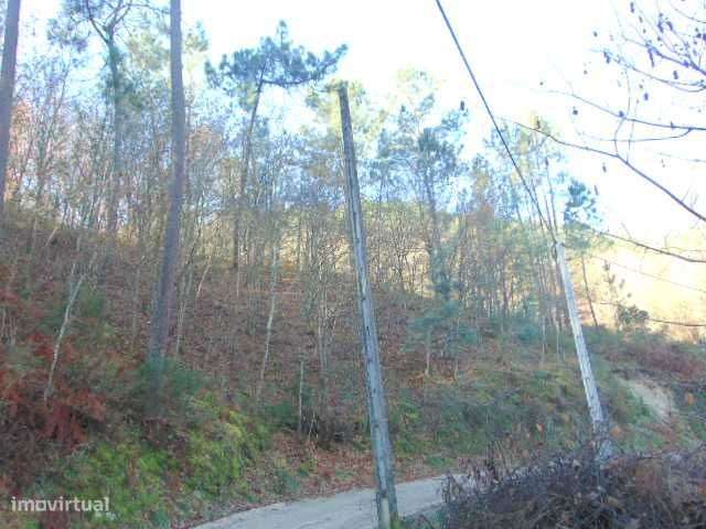 Venda de terreno Gerês perfeito para quem procura paz e tranquilidade. - Grande imagem: 4/7