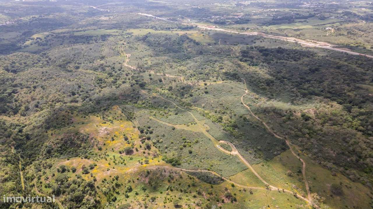 Terreno Rústico 5.7 ha, Santa Cruz, Santiago do Cacem - Grande imagem: 5/25