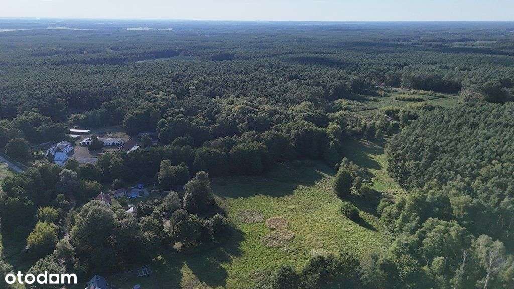 Lokal użytkowy, 1 240 m², Sierakowo-5