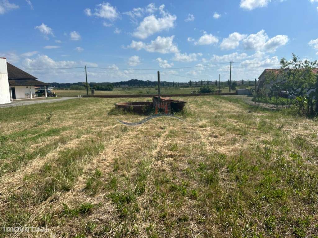 Terreno - Carreira - Grande imagem: 5/17