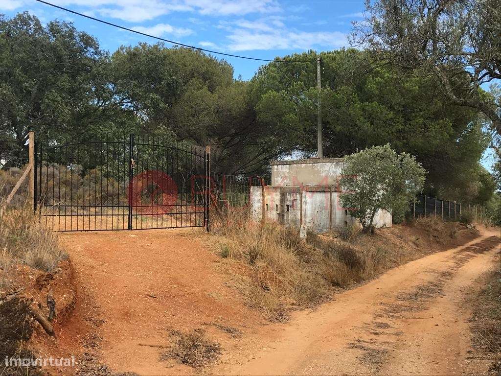 Terreno Misto com Potencial Residencial e Rústico em Boliqueime - Grande imagem: 2/26